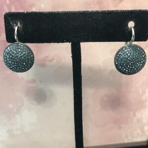 WHBM blue shiny earrings